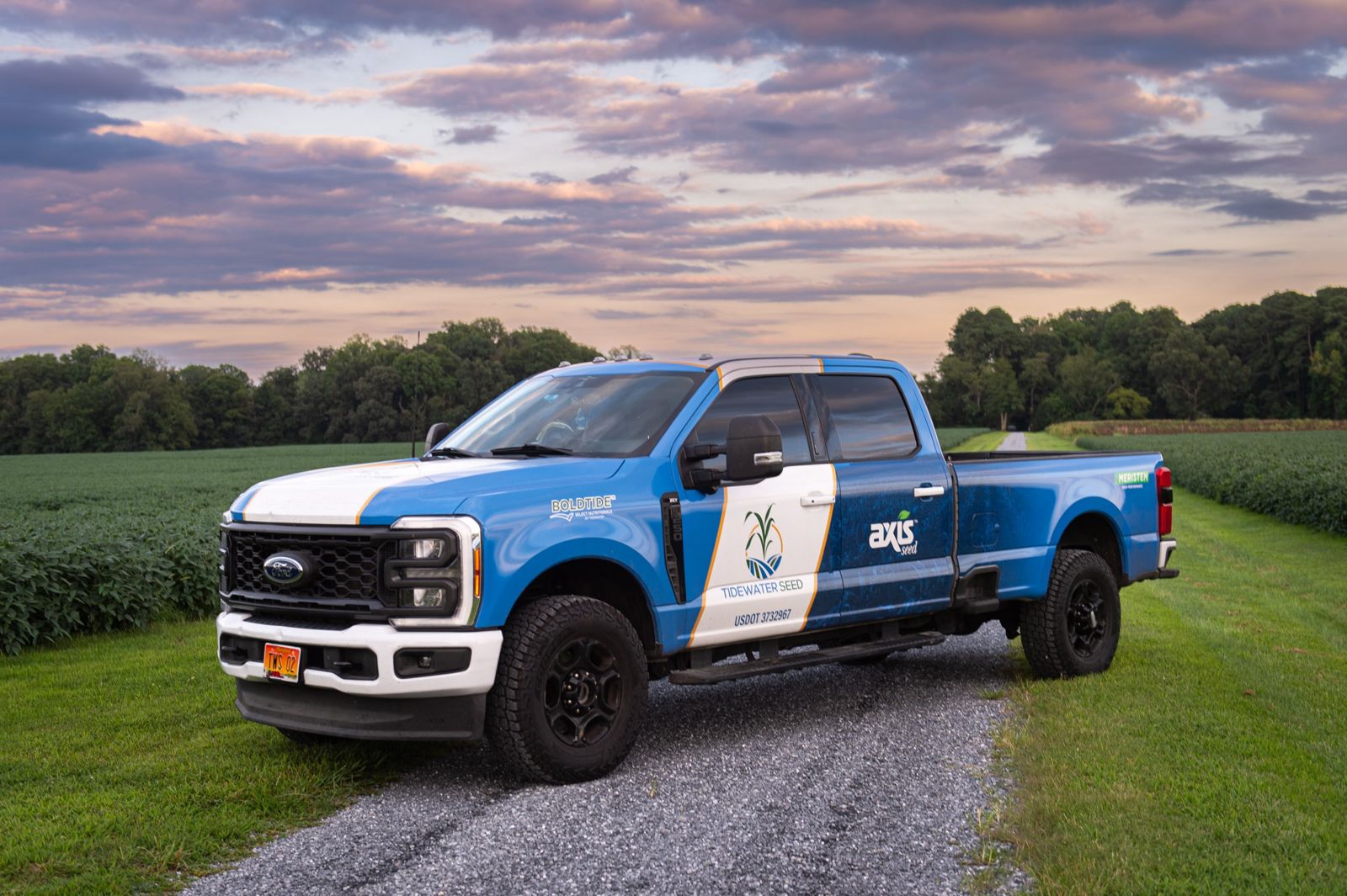 Tidewater Seed truck parked on a farm lane between soybean fields at sunset